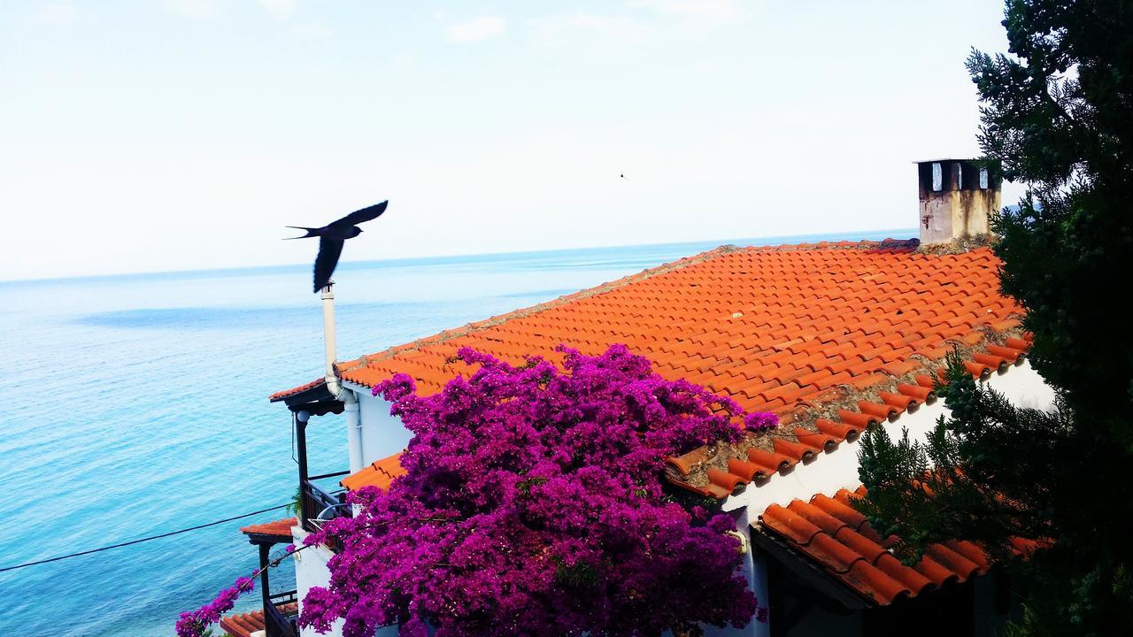 Acrogiali Sunshine Villa Szíviri Kültér fotó
